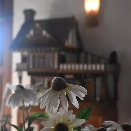 Casa Kisi Cottage, Rural Boutique 2* Colmenar