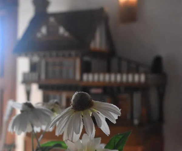 Casa Kisi Hotel, Rural Boutique 3* Кольменар